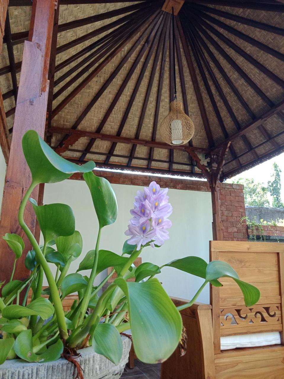 D'Puja Home Stay And Spa Nusa Dua  Ngoại thất bức ảnh